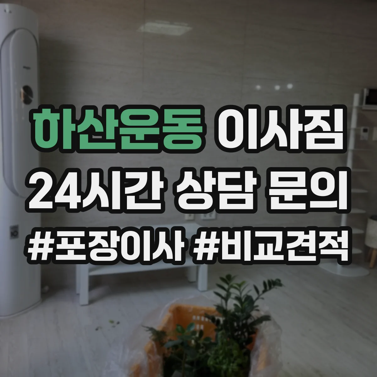 하산운동 이사짐