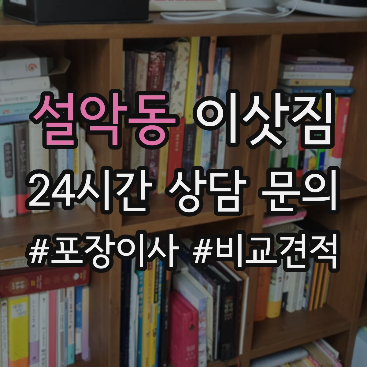 설악동 이삿짐