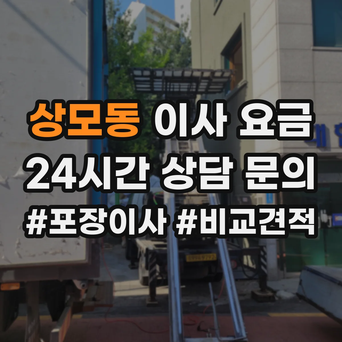 상모동 이사 요금
