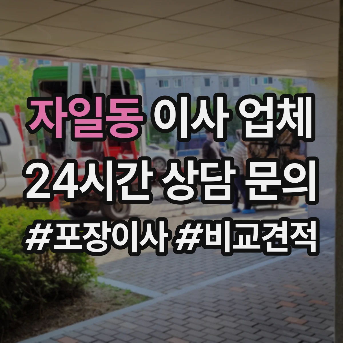 자일동 이사 업체