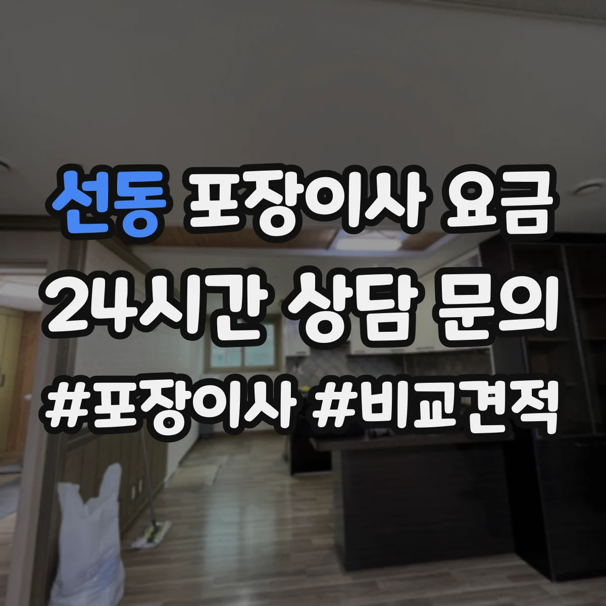 선동 포장이사 요금