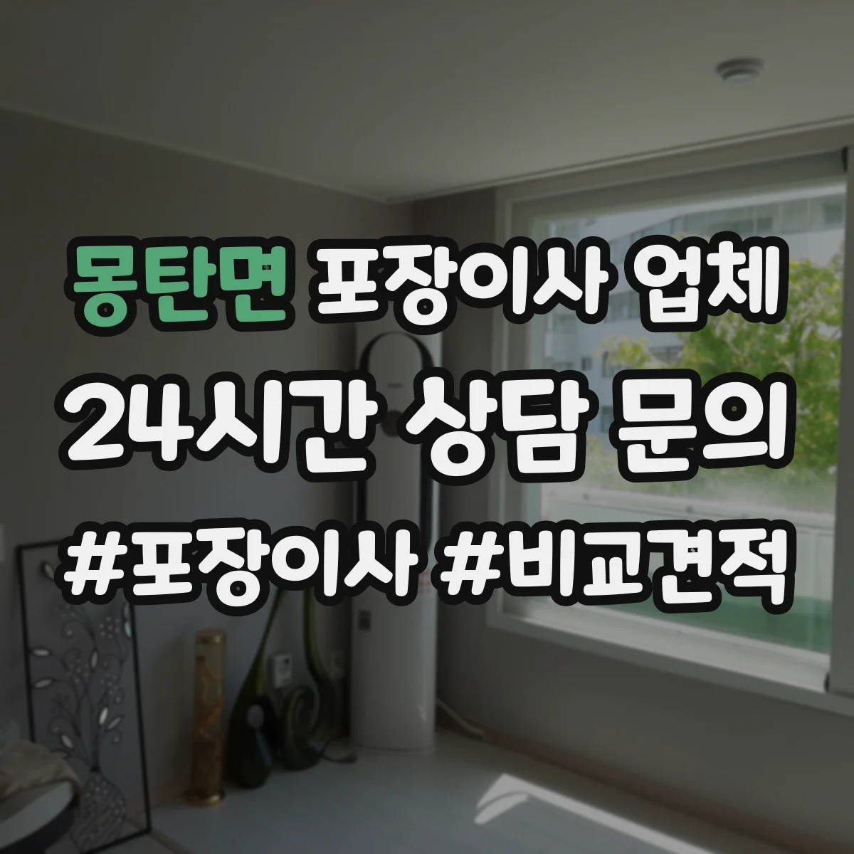 몽탄면 포장이사 업체