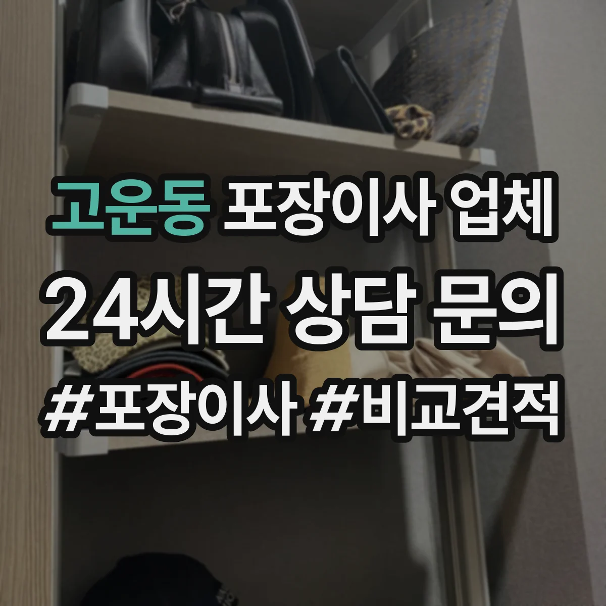 고운동 포장이사 업체