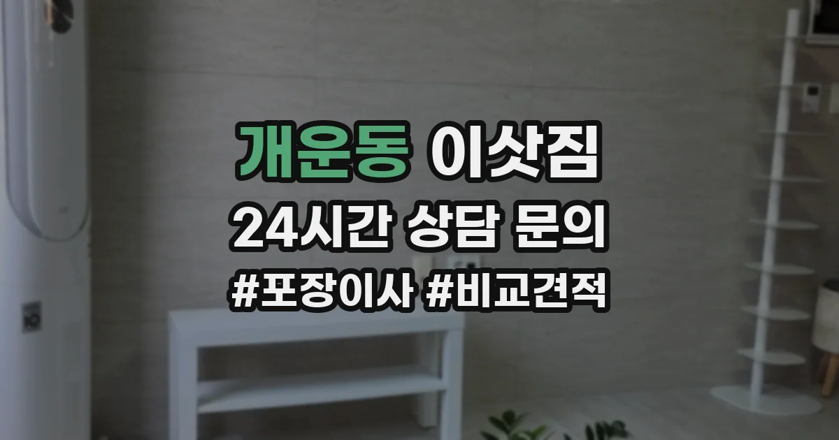개운동 이삿짐