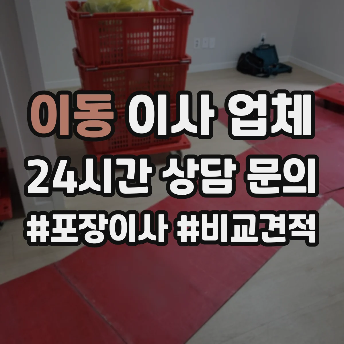 이동 이사 업체