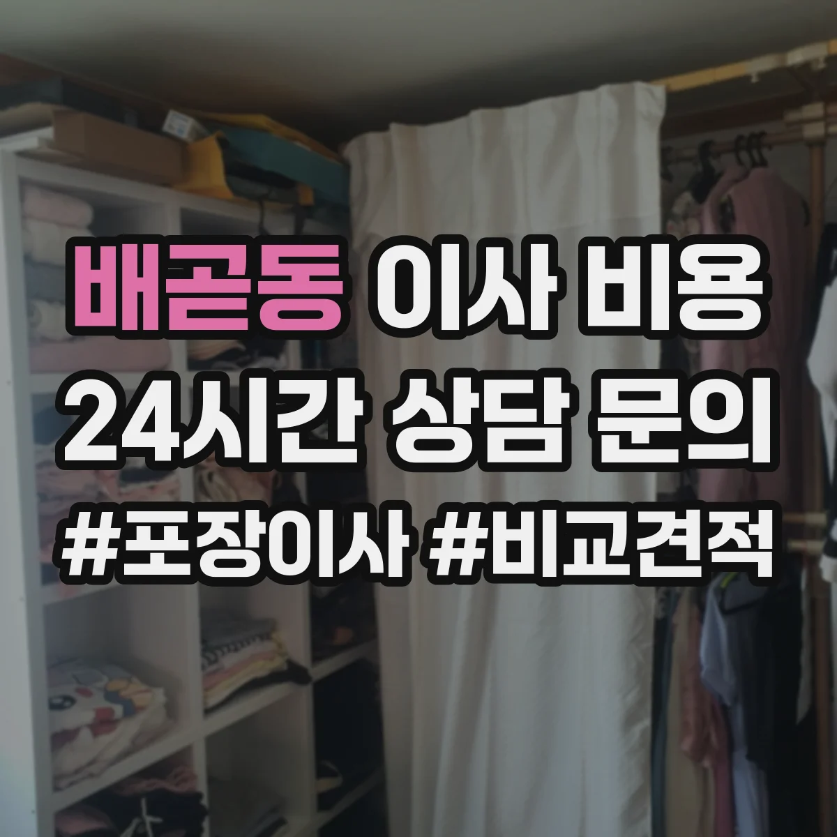 배곧동 이사 비용