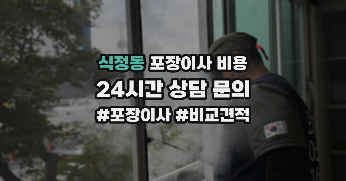 식정동 포장이사 비용