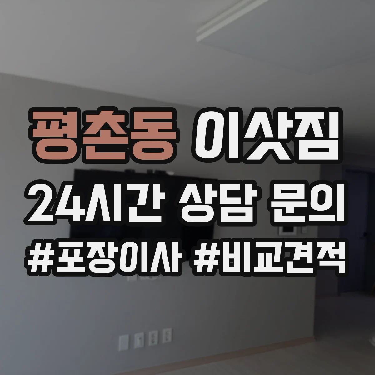 평촌동 이삿짐