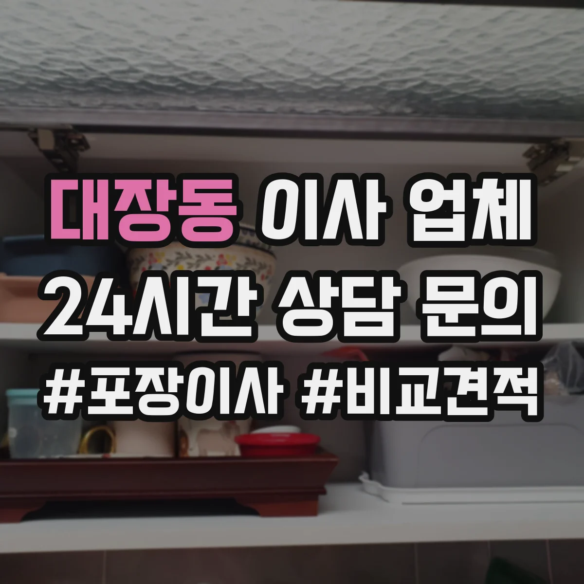 대장동 이사 업체