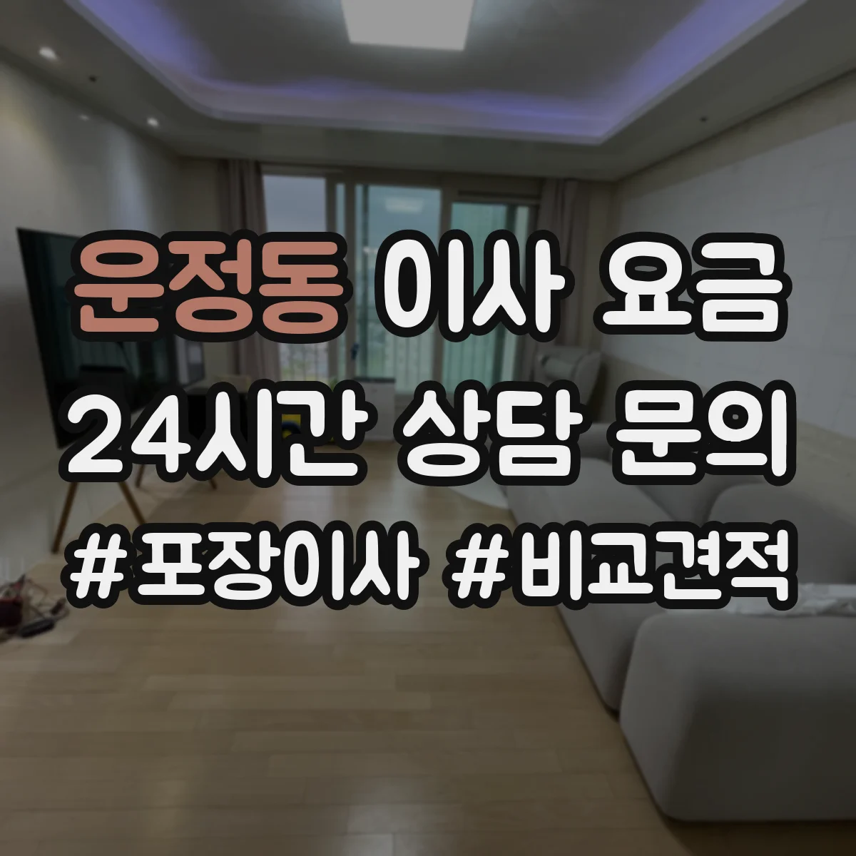 운정동 이사 요금