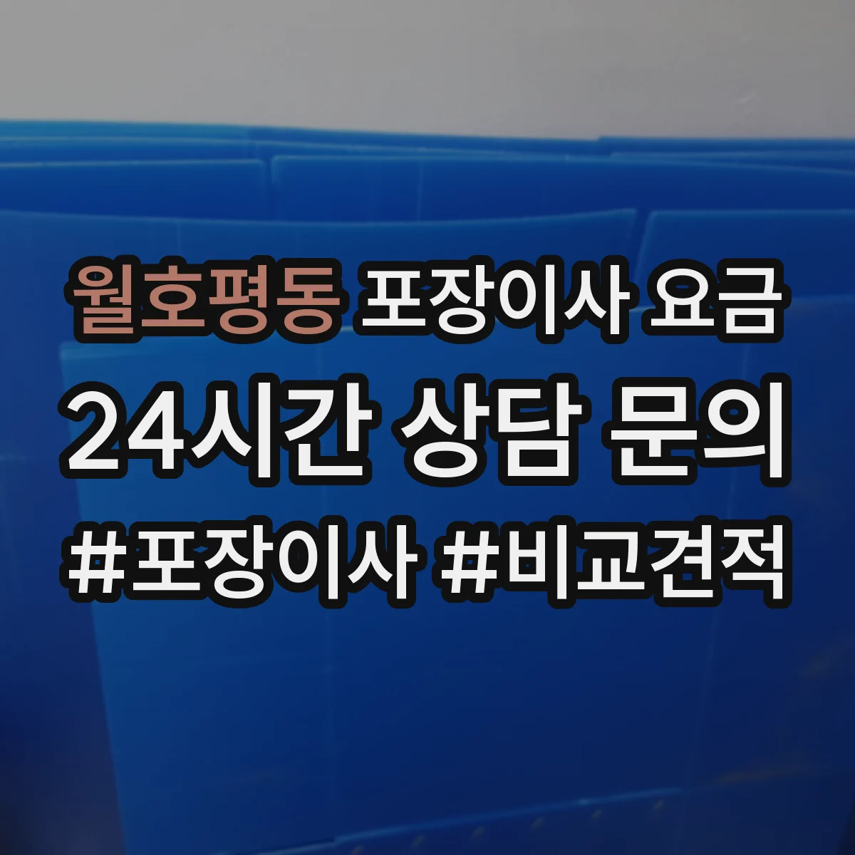 월호평동 포장이사 요금