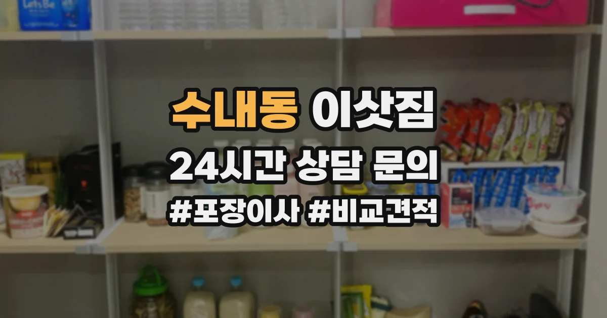 수내동 이삿짐