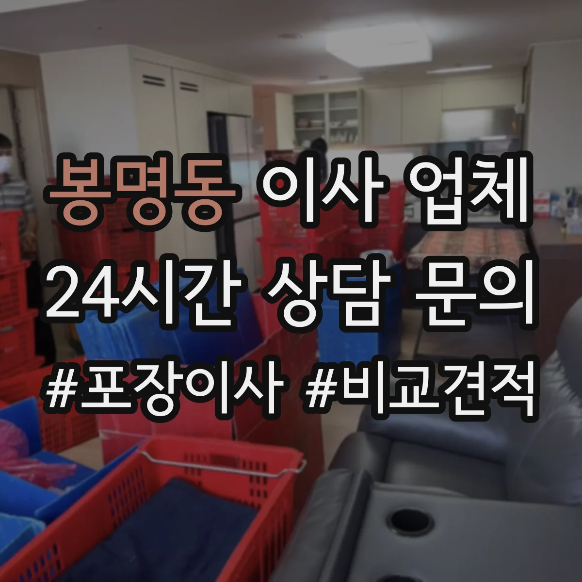 봉명동 이사 업체