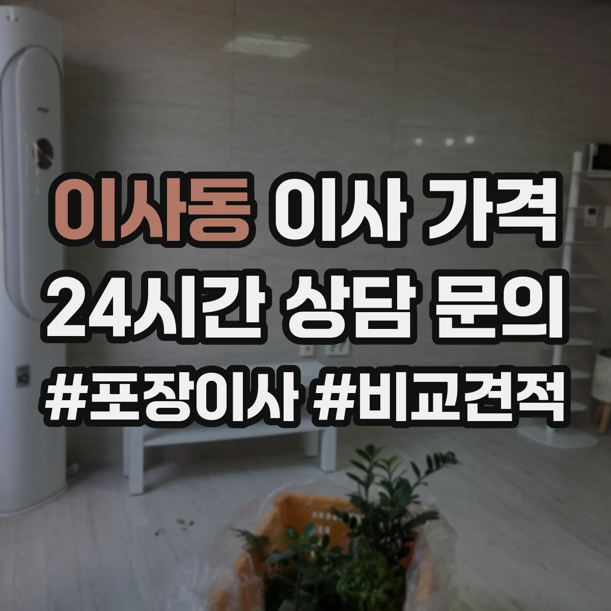 이사동 이사 가격
