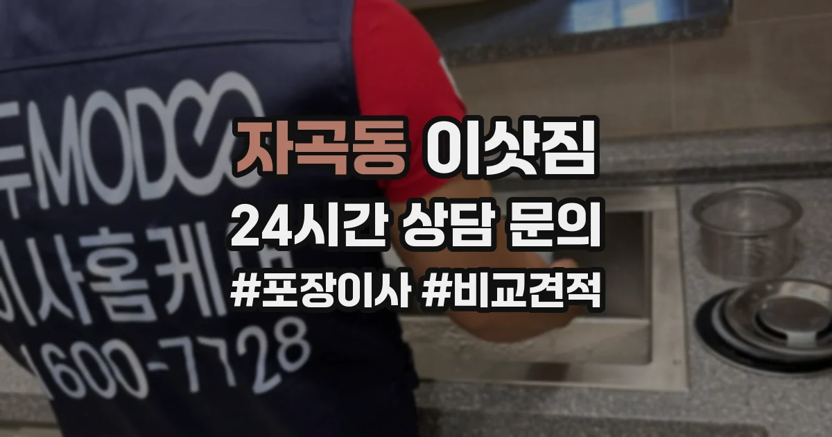 자곡동 이삿짐
