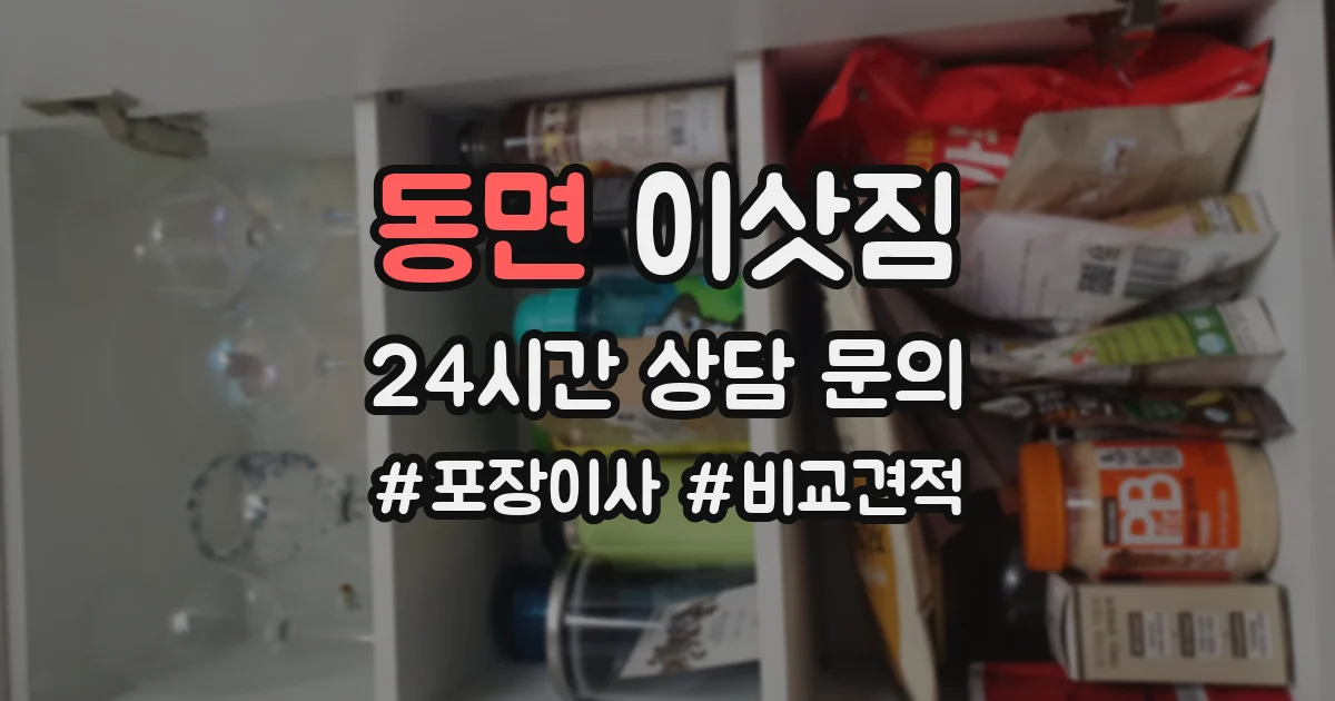 동면 이삿짐