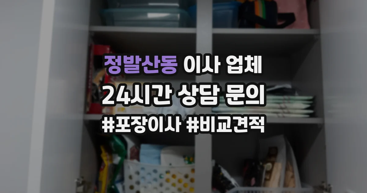 정발산동 이사 업체