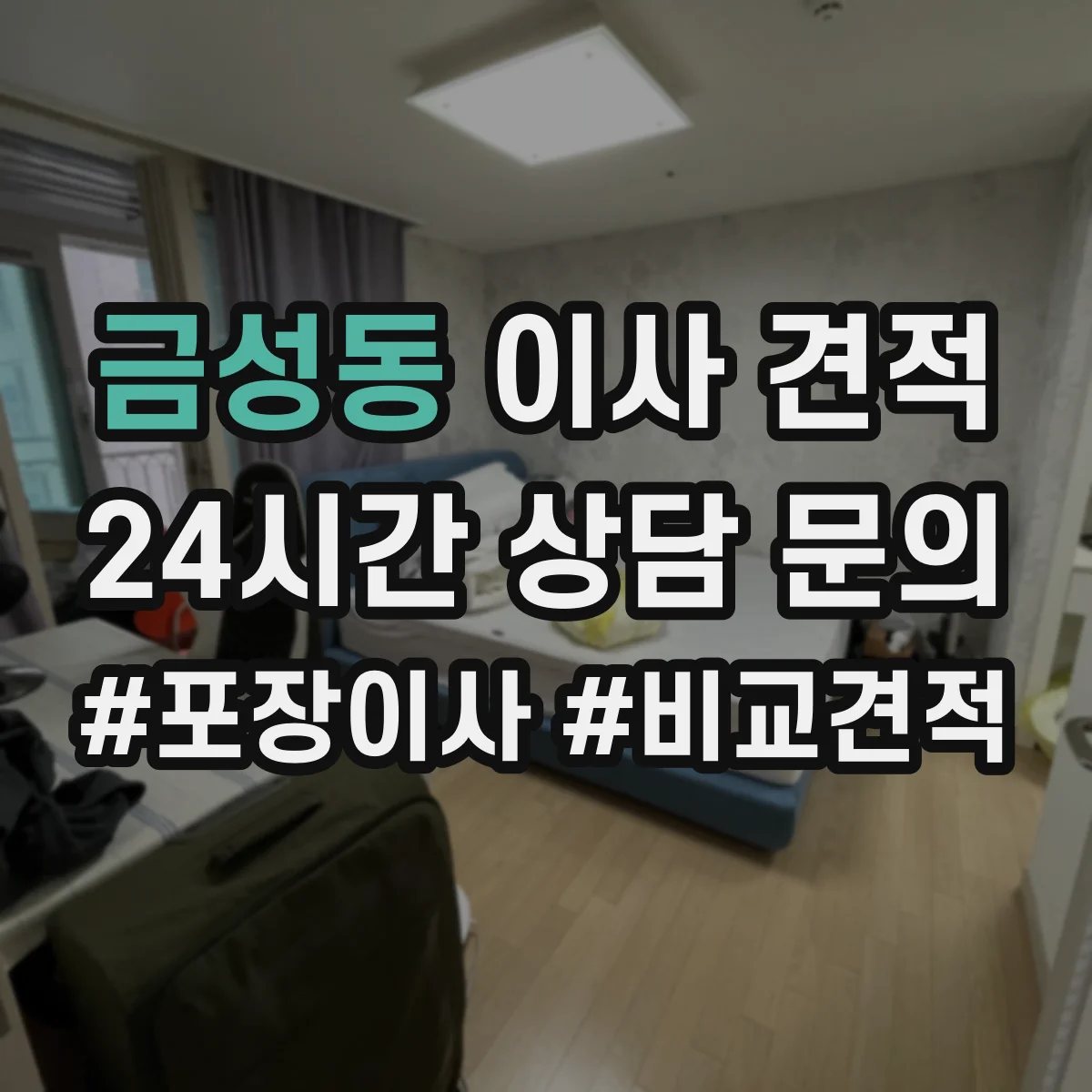 금성동 이사 견적