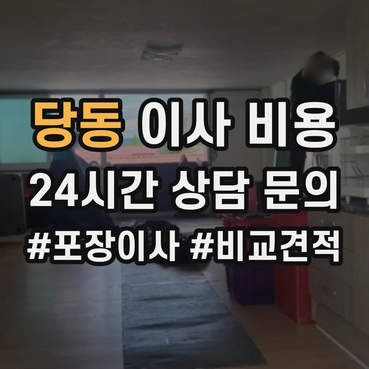 당동 이사 비용