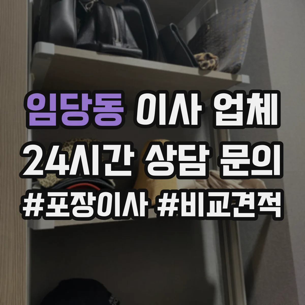 임당동 이사 업체