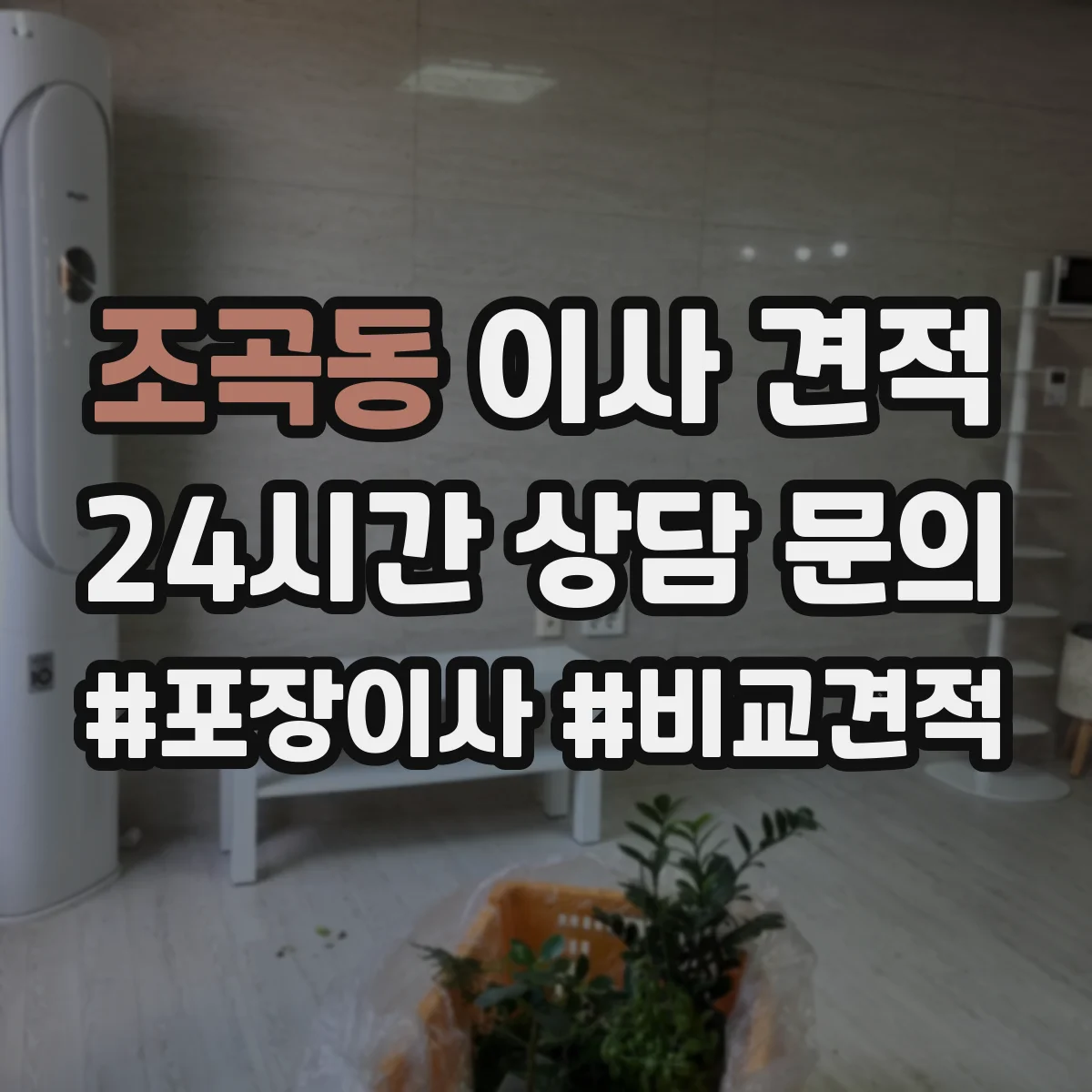 조곡동 이사 견적