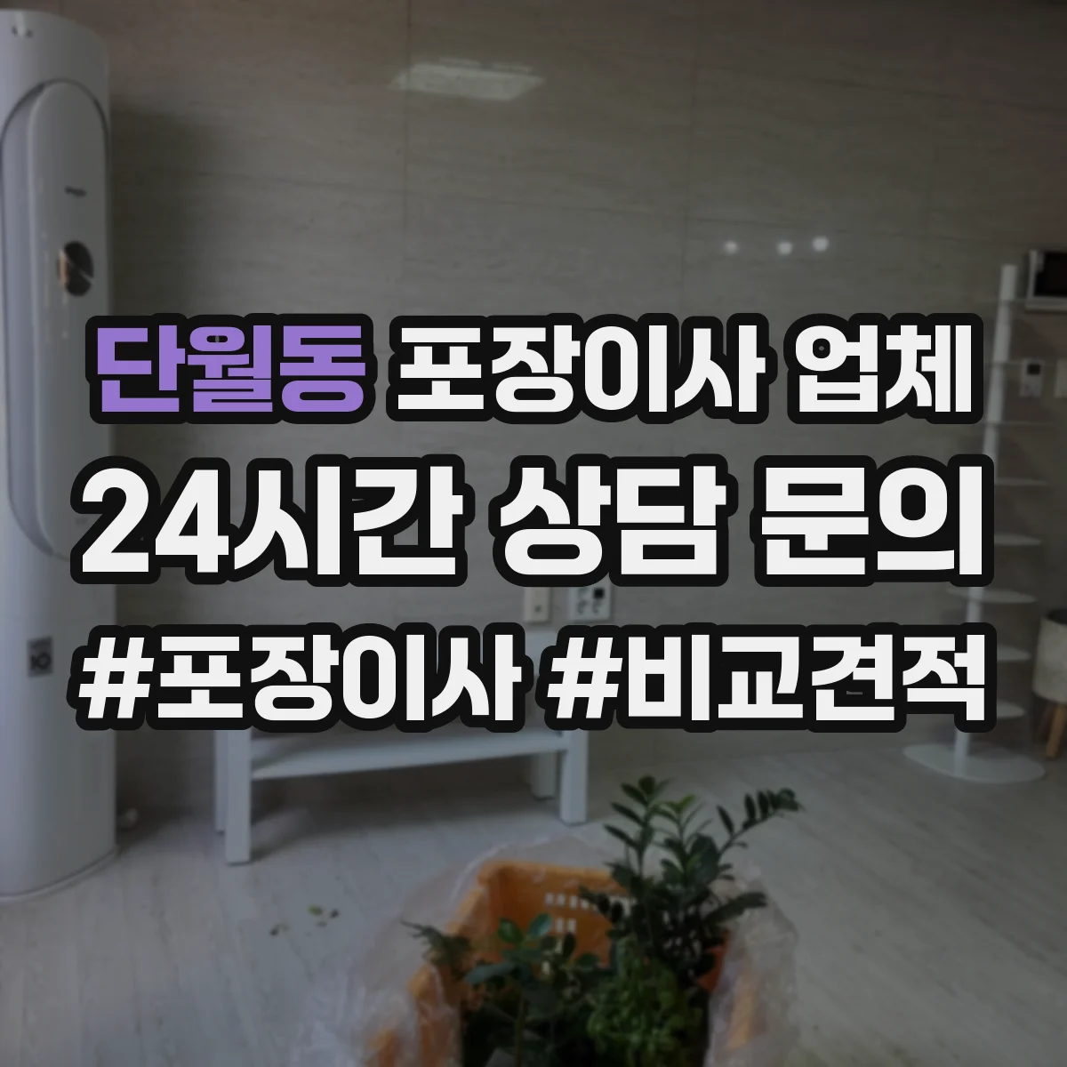 단월동 포장이사 업체