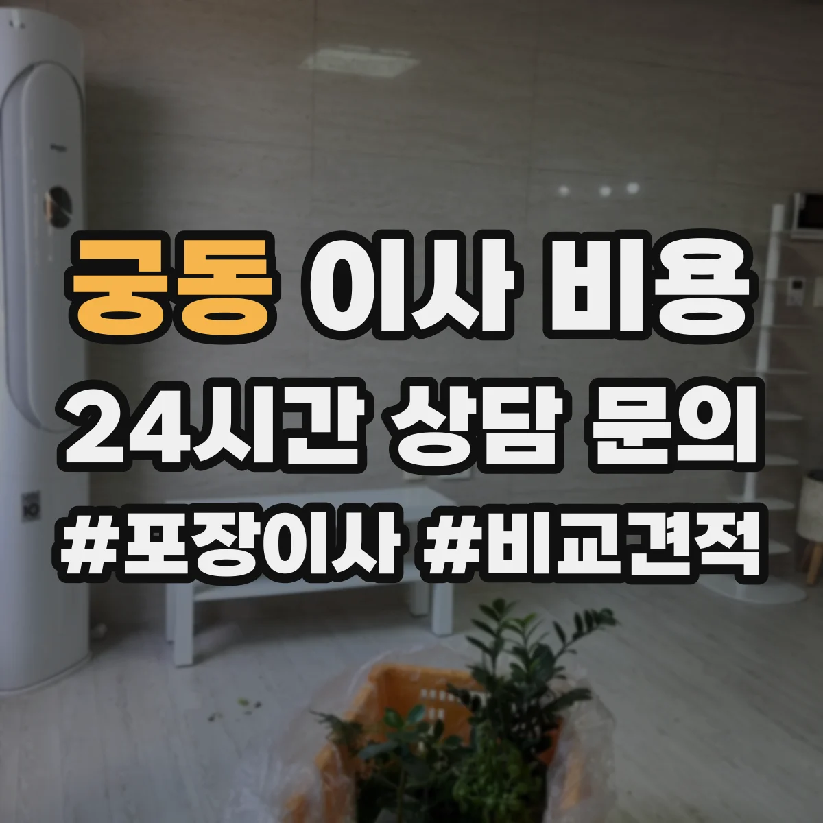 궁동 이사 비용
