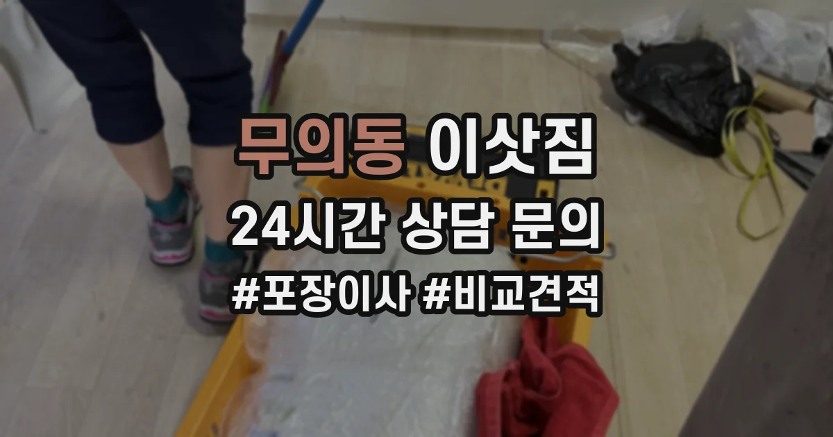 무의동 이삿짐