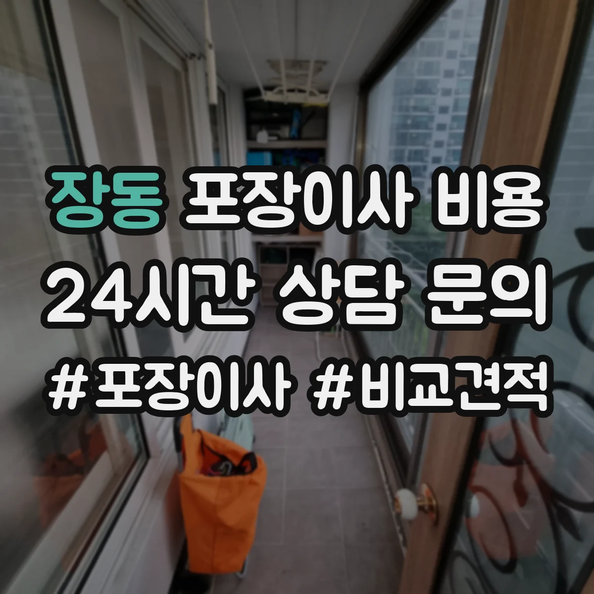 장동 포장이사 비용