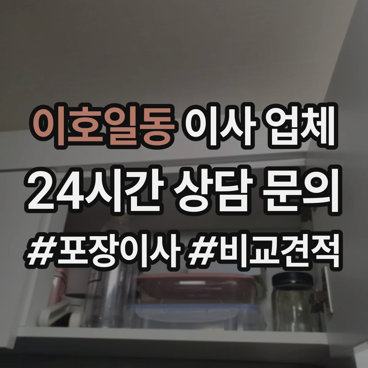 이호일동 이사 업체