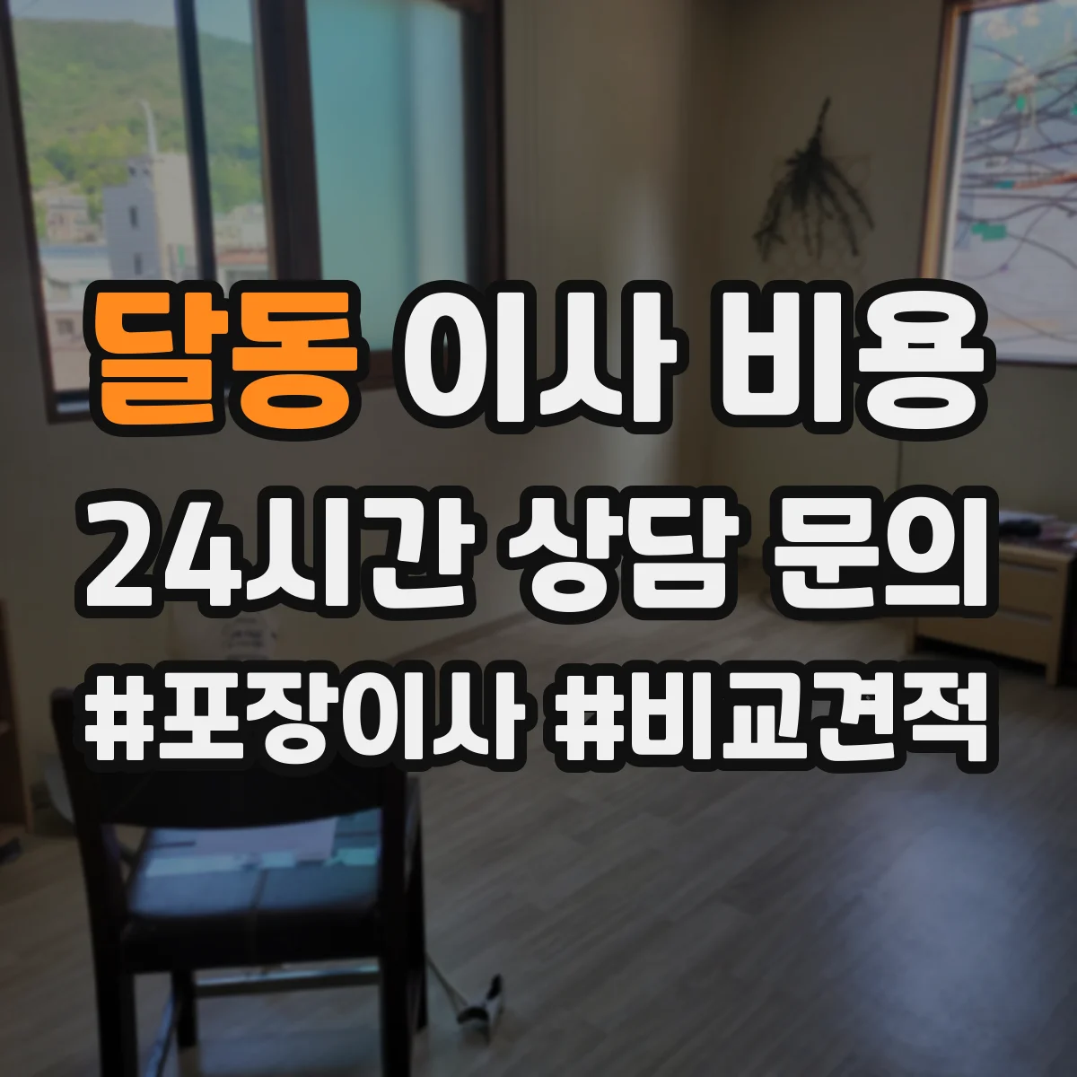 달동 이사 비용