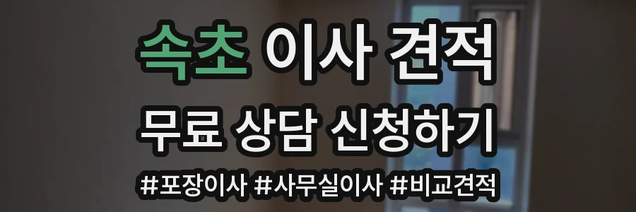 속초 이사 견적