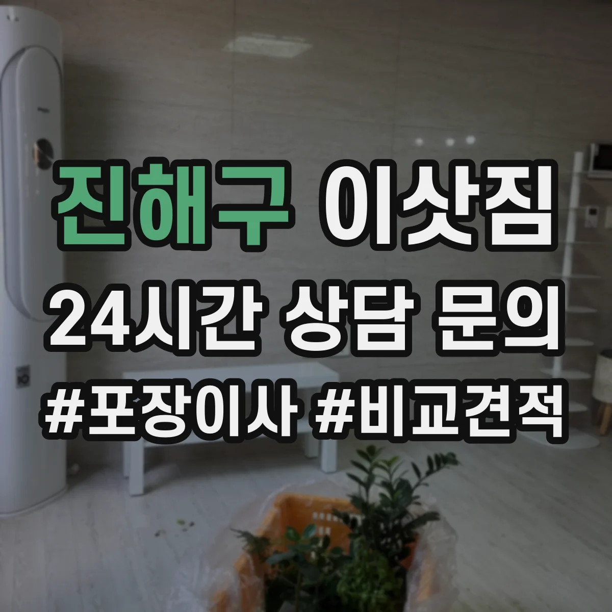 진해구 이삿짐
