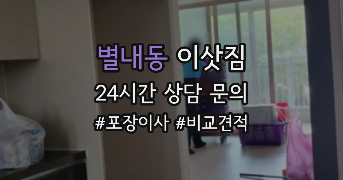 별내동 이삿짐