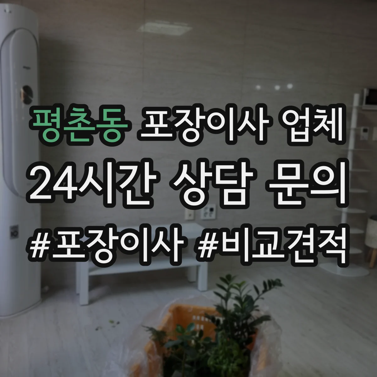 평촌동 포장이사 업체