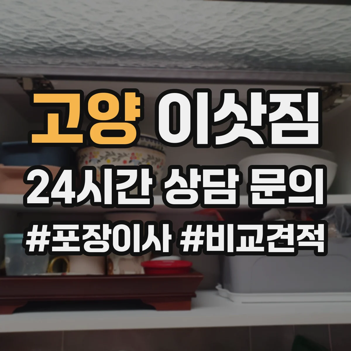고양 이삿짐