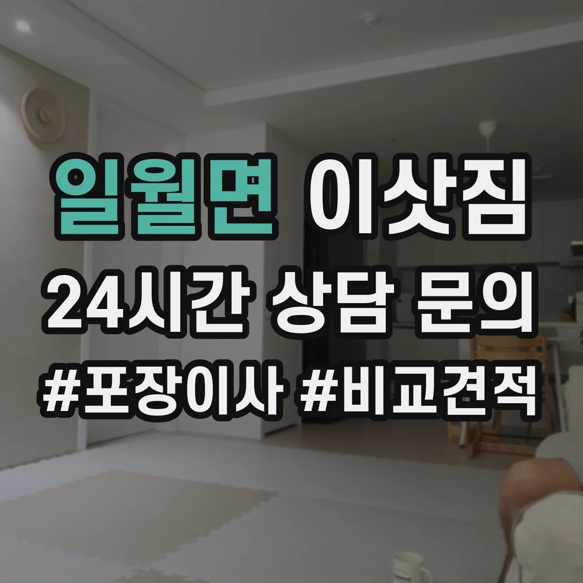 일월면 이삿짐