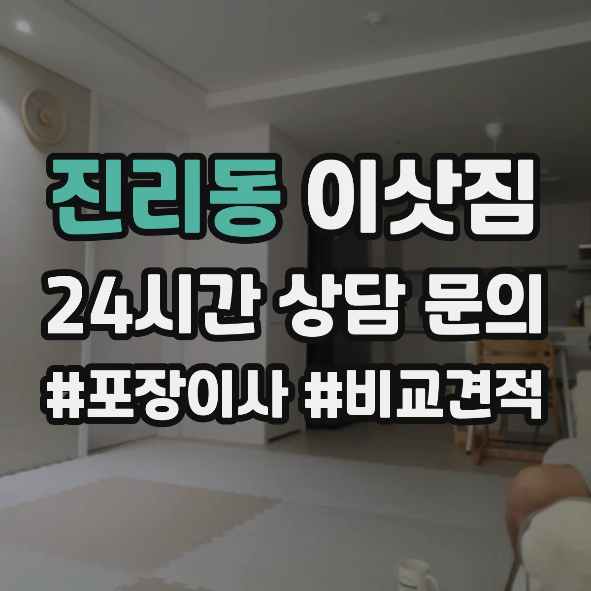 진리동 이삿짐
