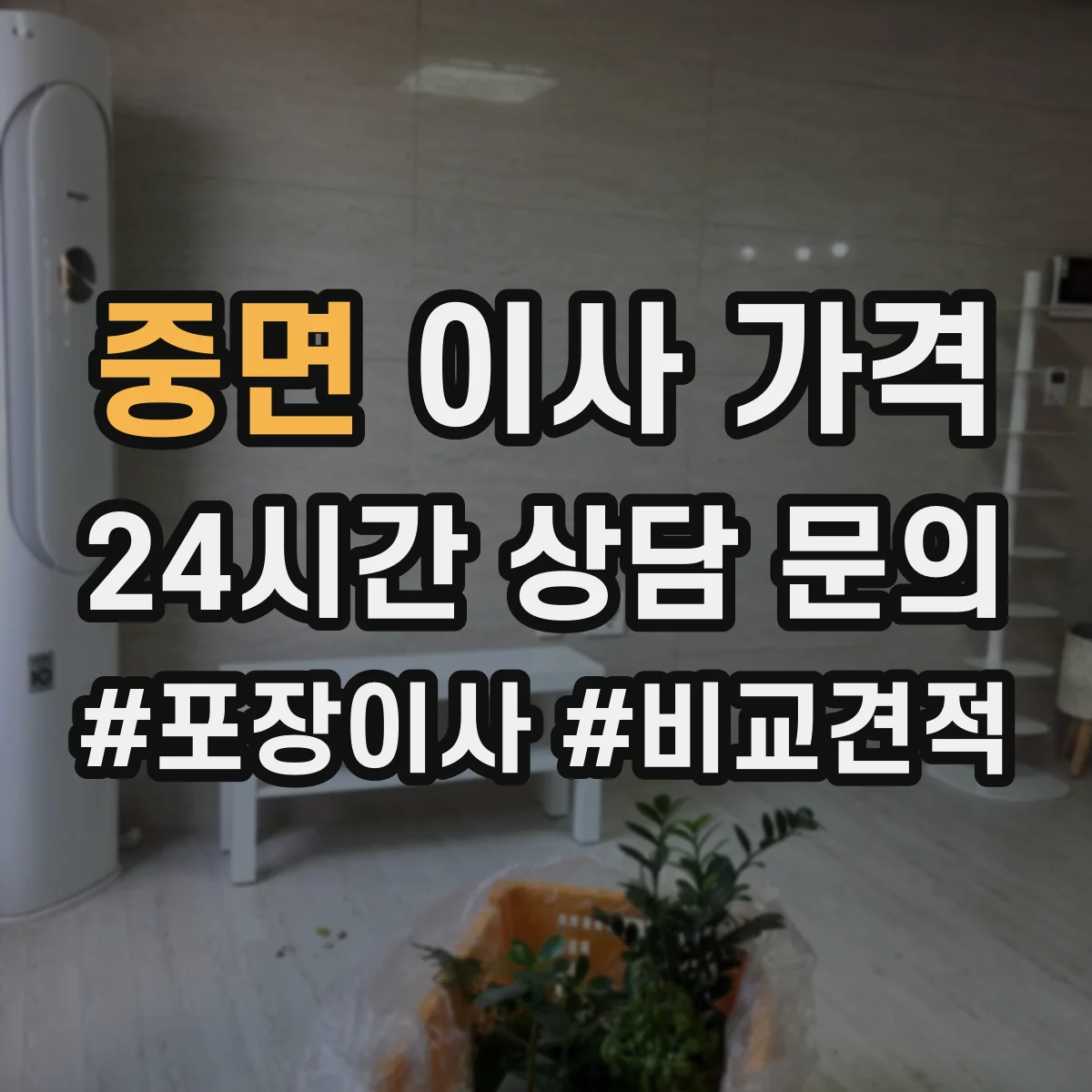 중면 이사 가격