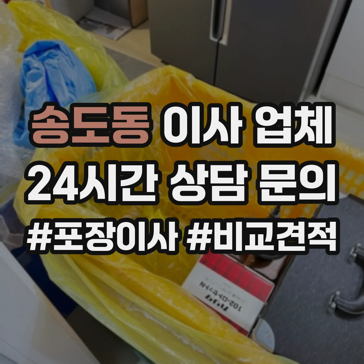 송도동 이사 업체