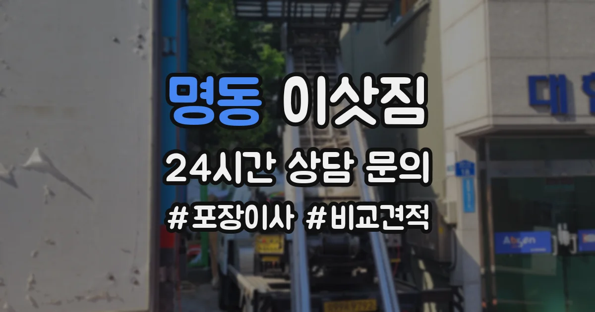 명동 이삿짐