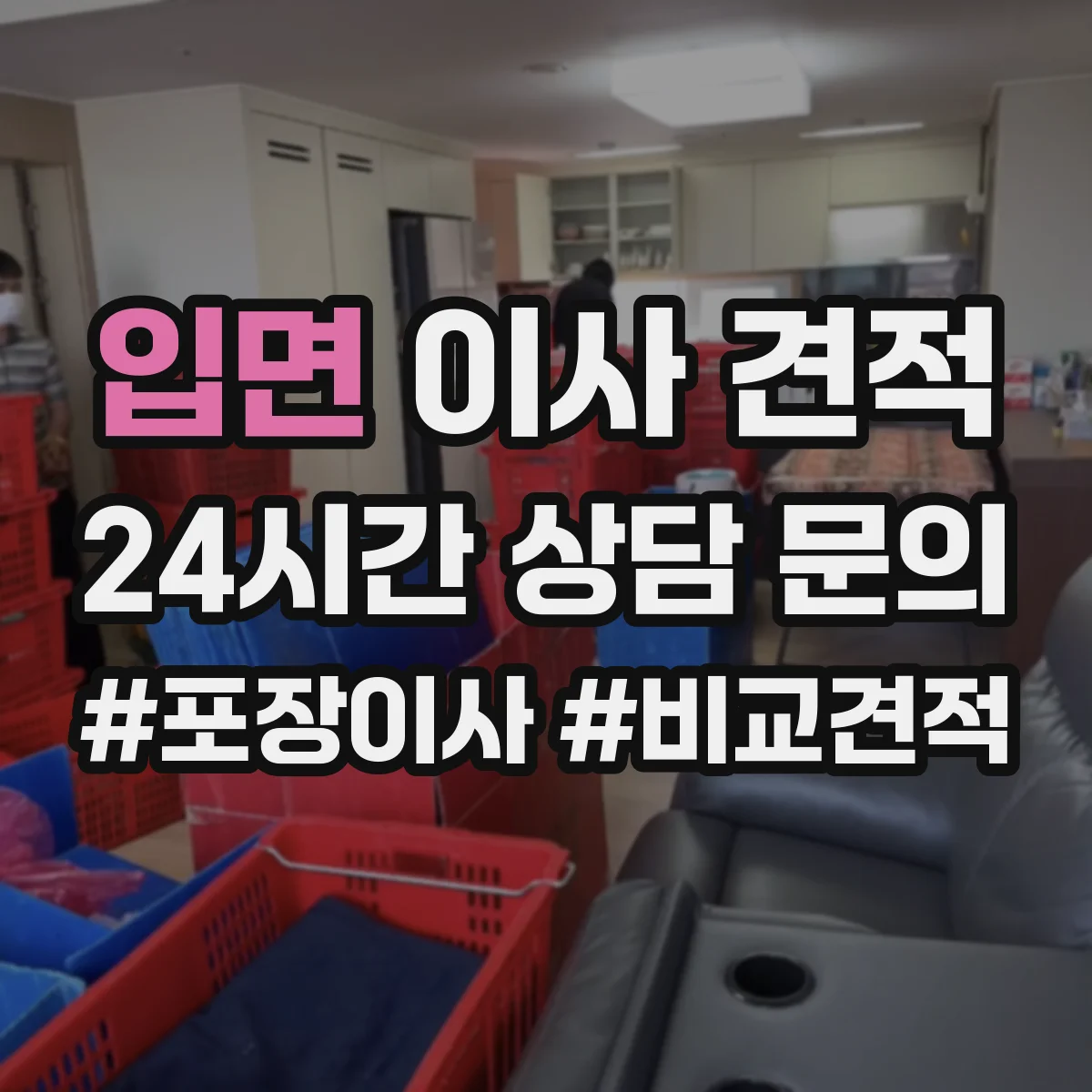 입면 이사 견적