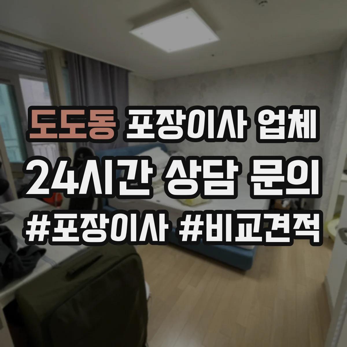 도도동 포장이사 업체