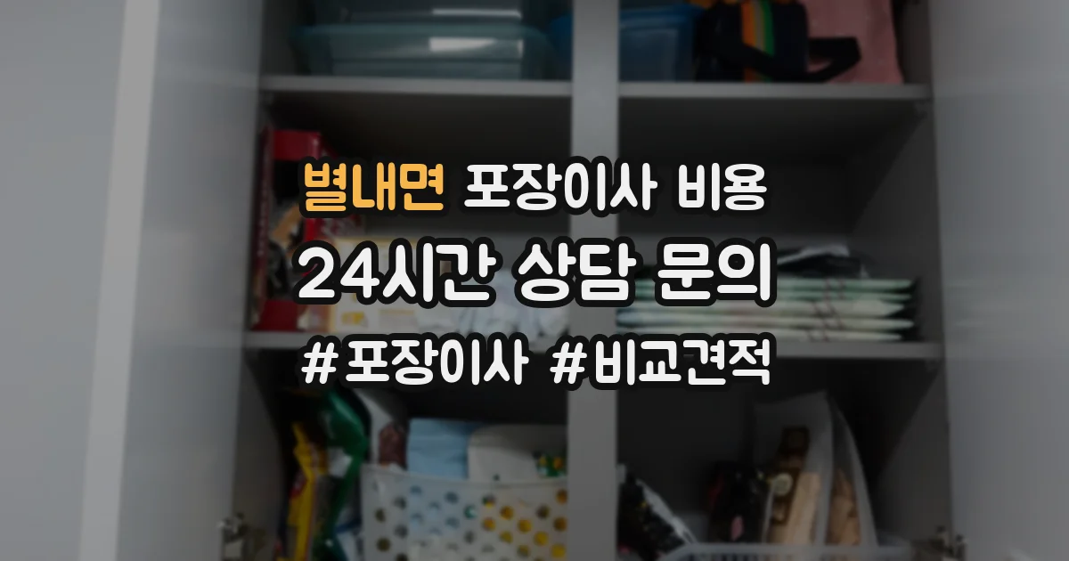 별내면 포장이사 비용