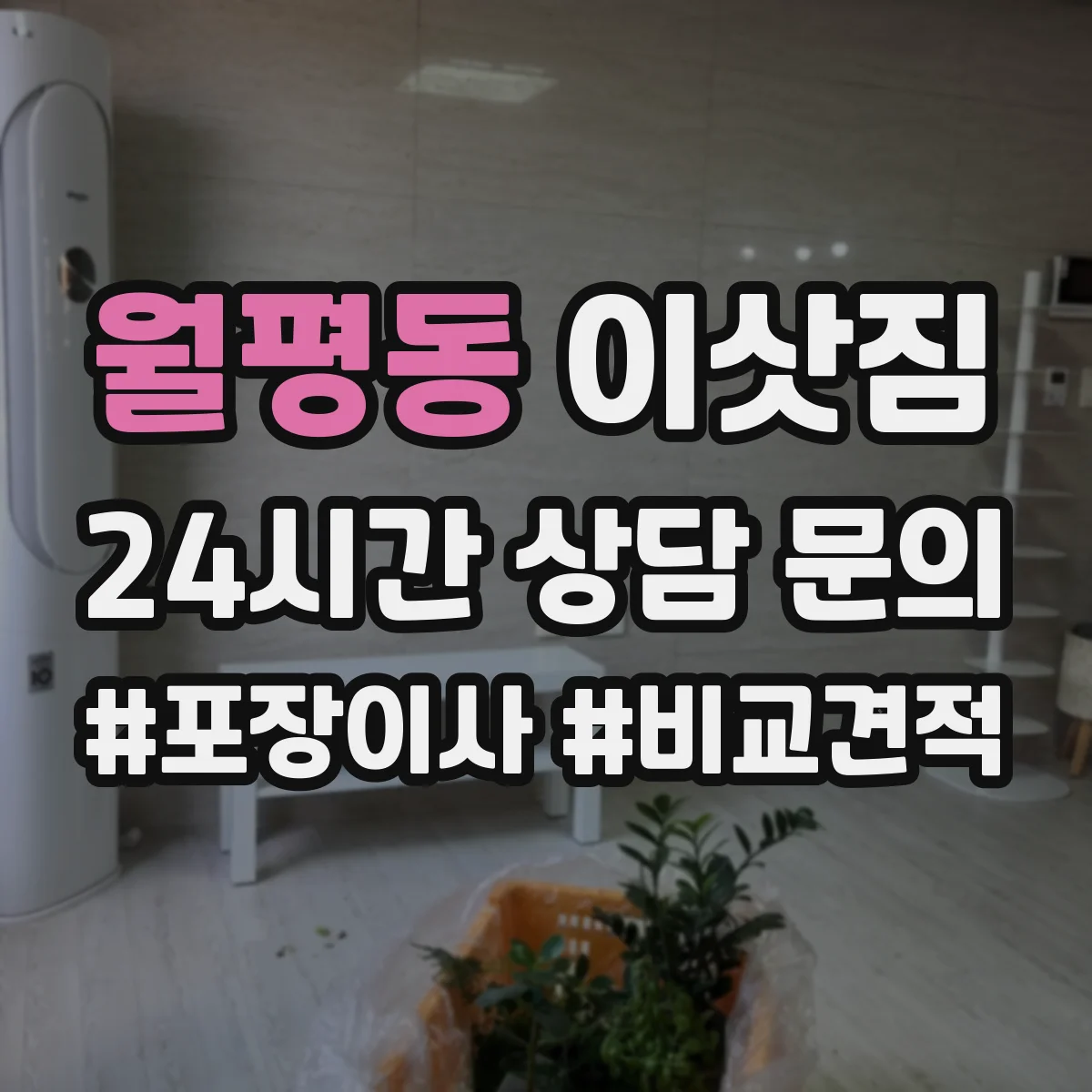 월평동 이삿짐