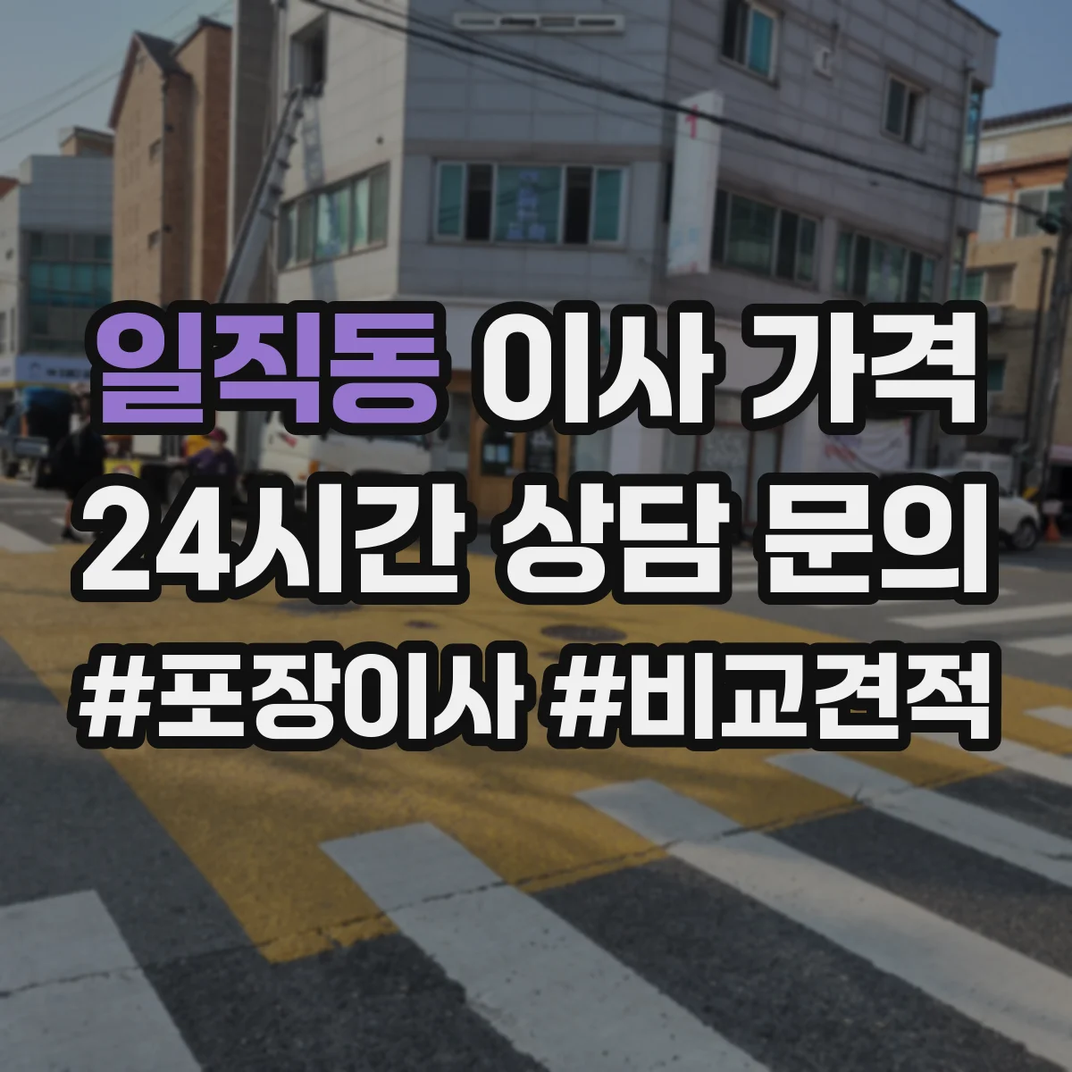 일직동 이사 가격