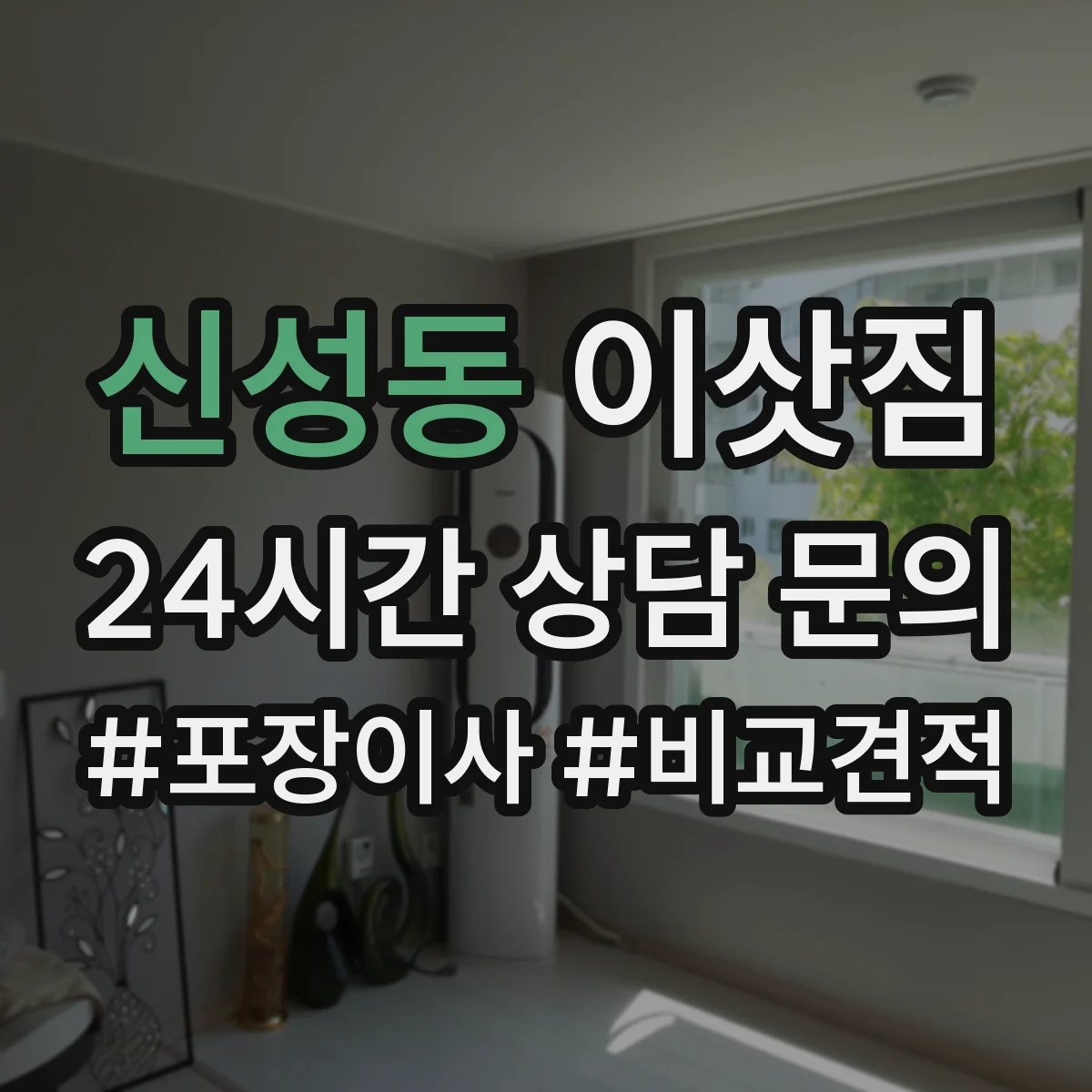 신성동 이삿짐