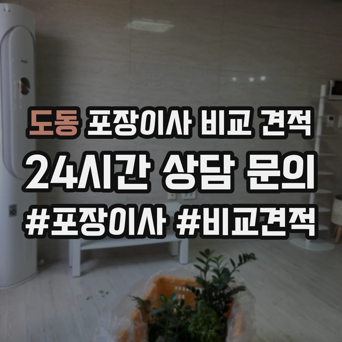 도동 포장이사 비교 견적