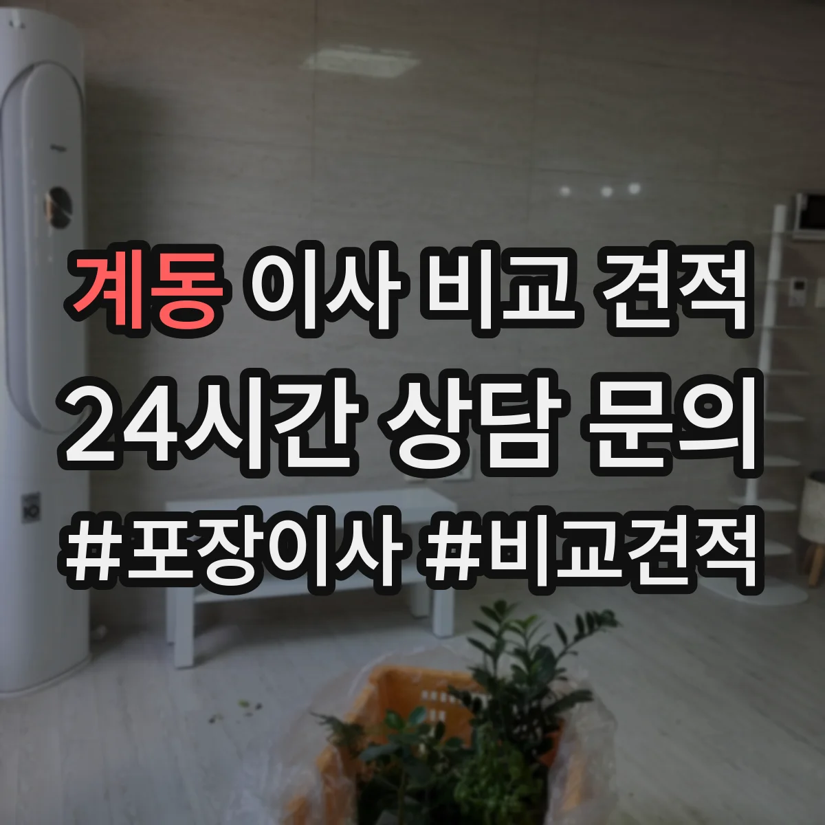 계동 이사 비교 견적