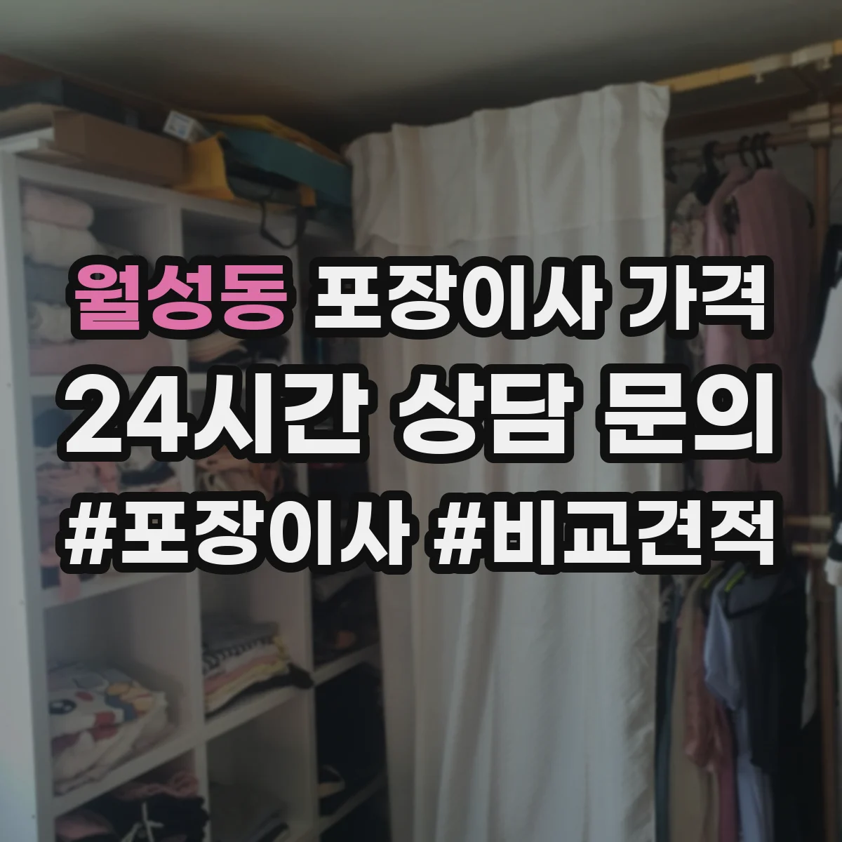 월성동 포장이사 가격